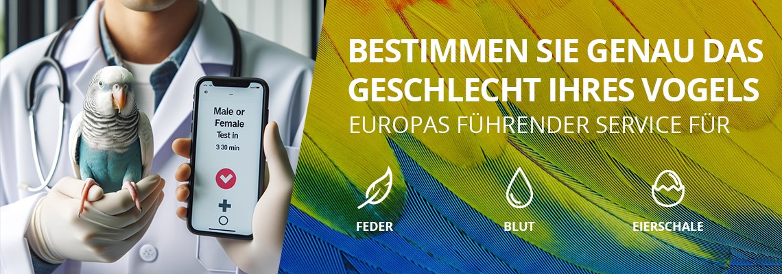 Bestimmen Sie das Geschlecht Ihres Vogels — aus einer Feder.