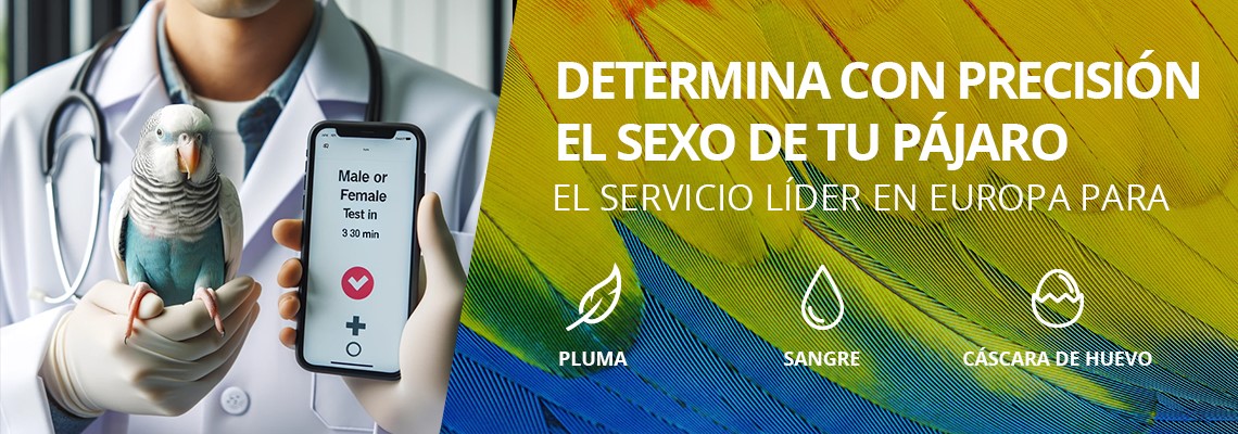 Conozca el sexo de su ave — a partir de una pluma.