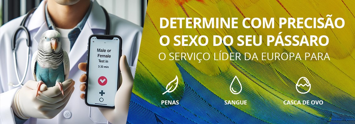 Saiba o sexo da sua ave — a partir de uma pena.